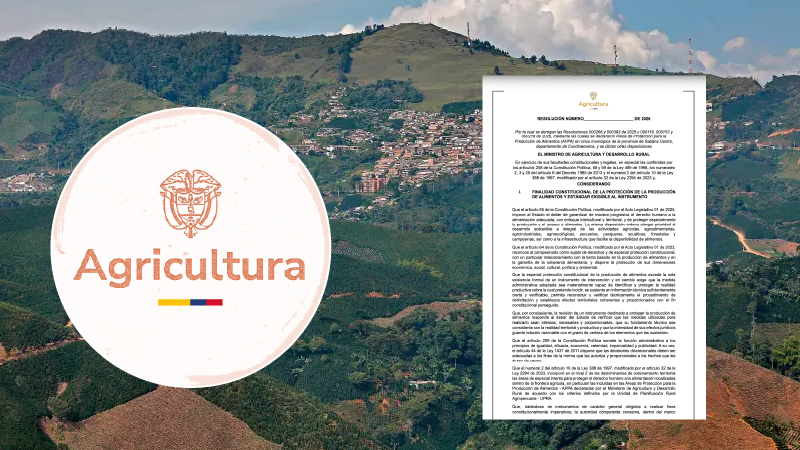 Gobierno eliminará 15 mil hectáreas destinadas a producción de alimentos