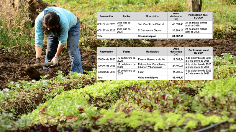 MinAgricultura eliminará 132 mil hectáreas para producir alimentos
